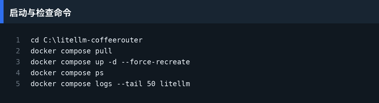 Commands to start and inspect LiteLLM with Docker