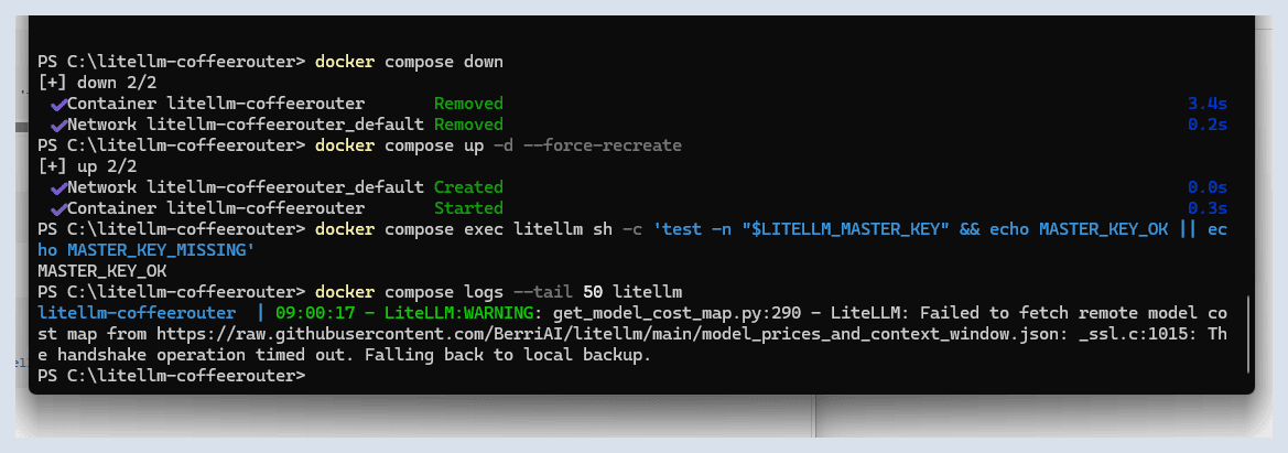 LiteLLM container recreated and environment checked